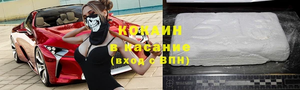твердый Ельня