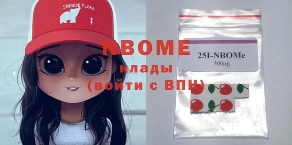твердый Ельня