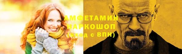 твердый Ельня