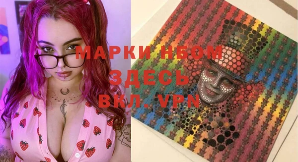 сатива Елизово