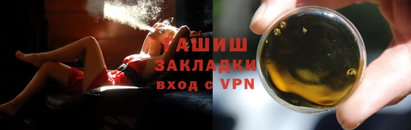 твердый Ельня