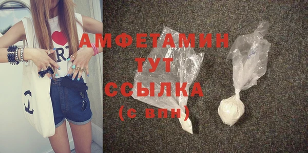 твердый Ельня