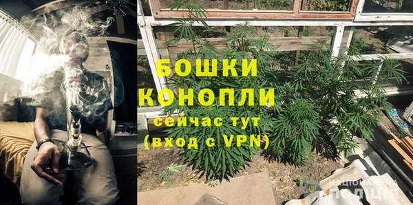 твердый Ельня