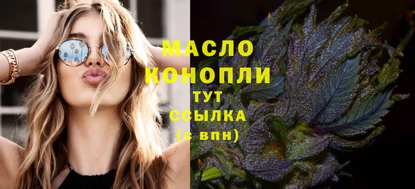 сатива Елизово