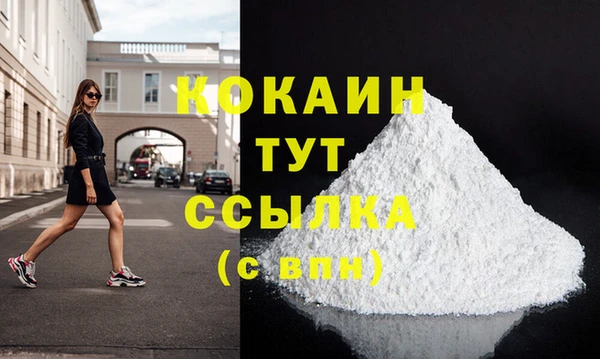 сатива Елизово