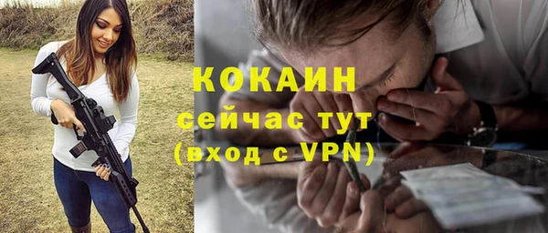 твердый Ельня