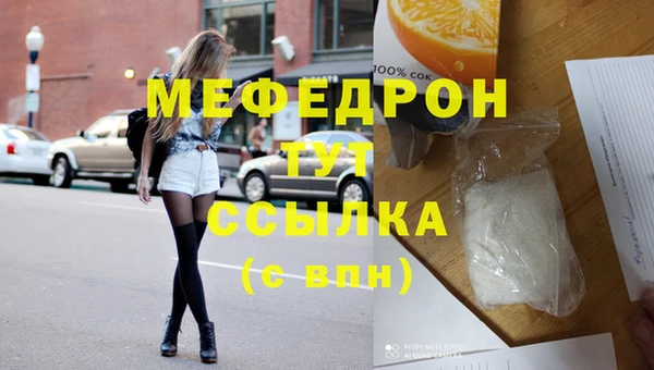 твердый Ельня