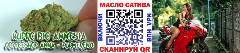 ТГК вейп  Купить закладки  Кашира 