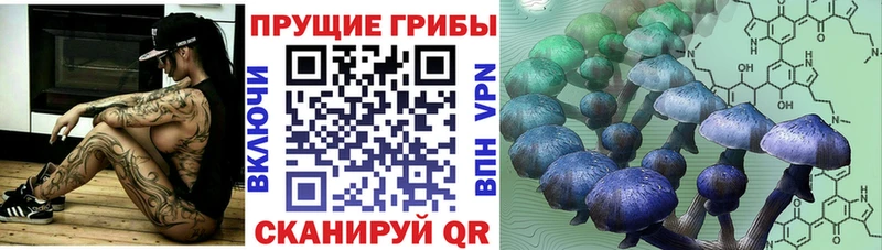 Купить  Кашира  Галлюциногенные грибы мухоморы 