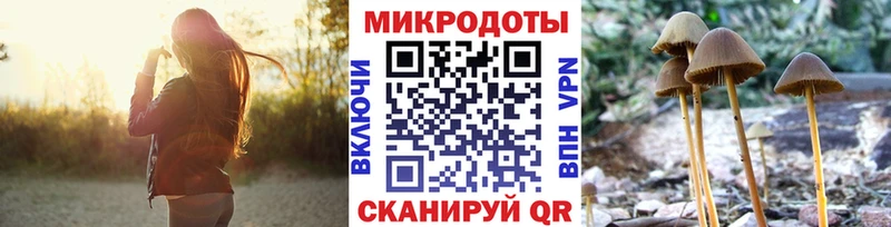 Псилоцибиновые грибы мицелий Кашира