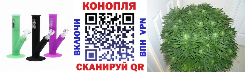 МАРИХУАНА ГИДРОПОН  Купить закладки  Кашира 